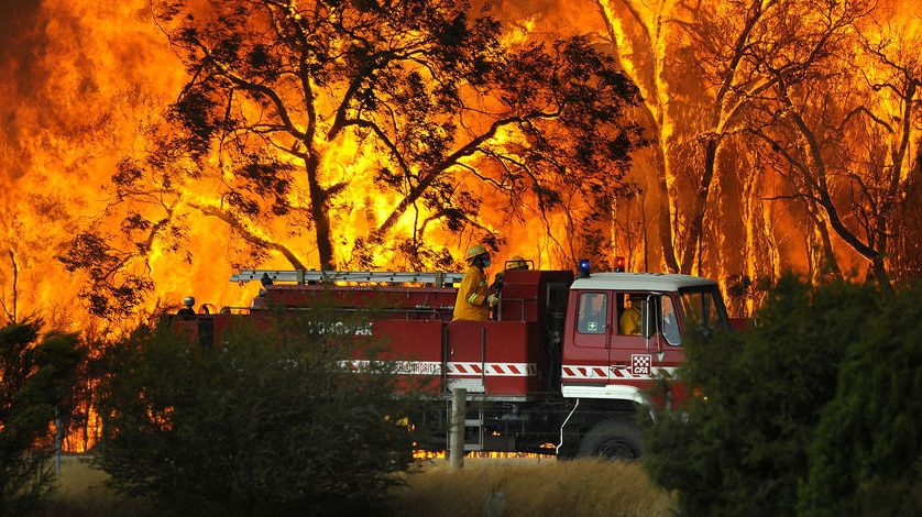 bushfire protection - act before it happened