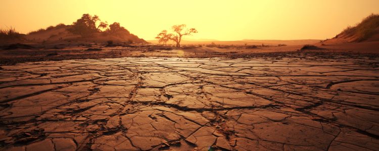 dry australian land - environment and lwater waste why a leaking tap should be repaired immidiately