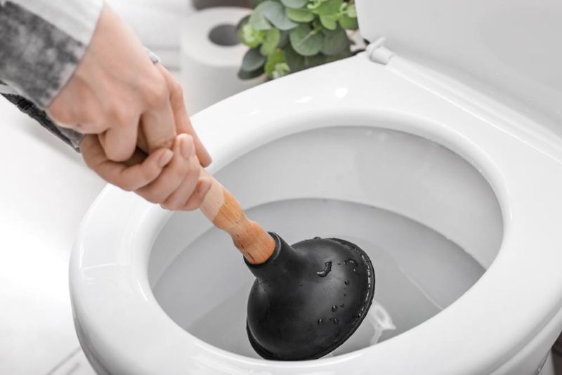 how to unblock toilet - person unblocking toilet with a plunger